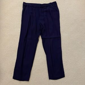 Zara navy blue satiny pants comfy size large